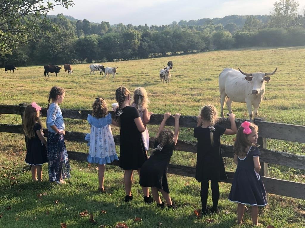 Children at a farm fence watching cattle in a pasture — a scene of family, land, and the long view